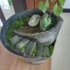 Guo