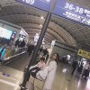 落叶