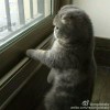 止水001