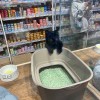 你说的是啥