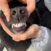 哈哈哈哈哈
